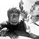 Illustration for article titled Universal Will Reboot iThe Wolf Man/i Yet Again For Its Monster Verse